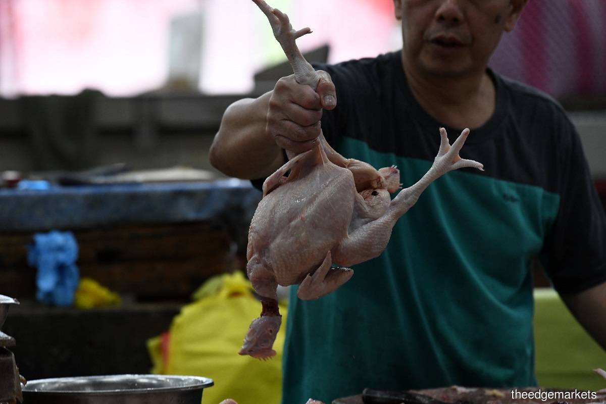 Jihad task force to continue to address egg shortage, rising chicken